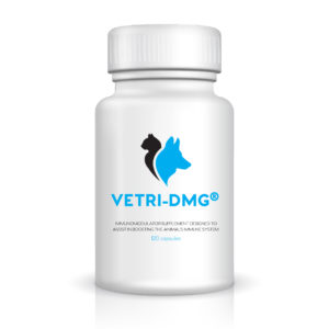 vetri-dmg - VSL Laboratories - Liver support & supplements for dogs, cats, and pets - Hepatosyl Plus
